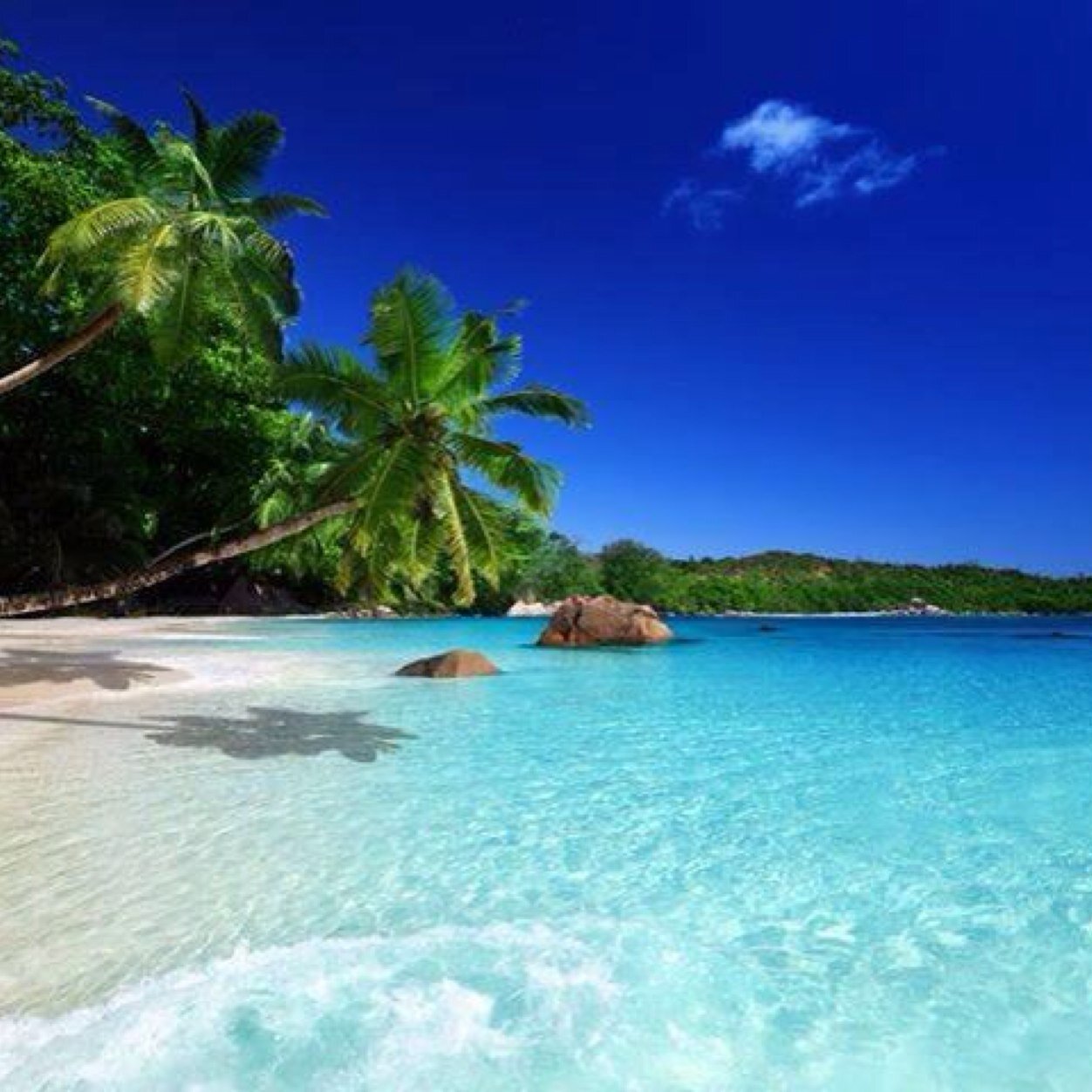 yusp1983's profile picture. 👶🏼 📸📸