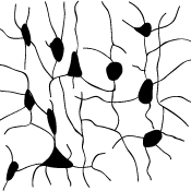 Neuroscience Network Basel