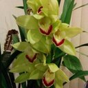 Amanda You - @You3Amanda - Twitter