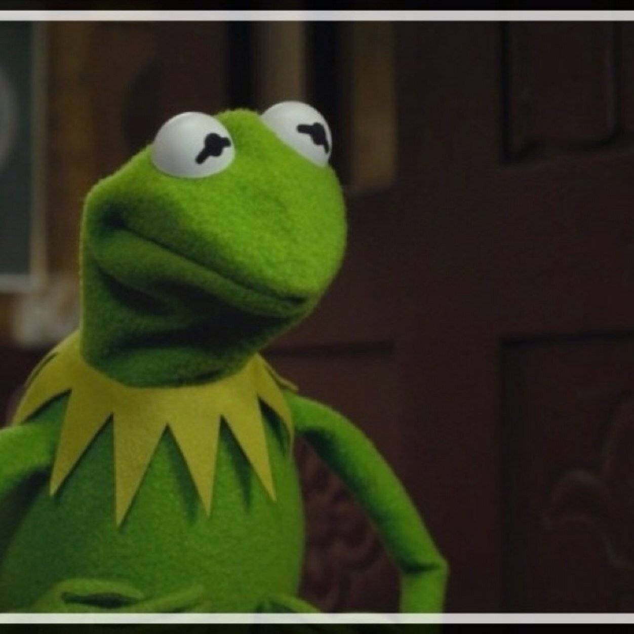 Kermit Knows