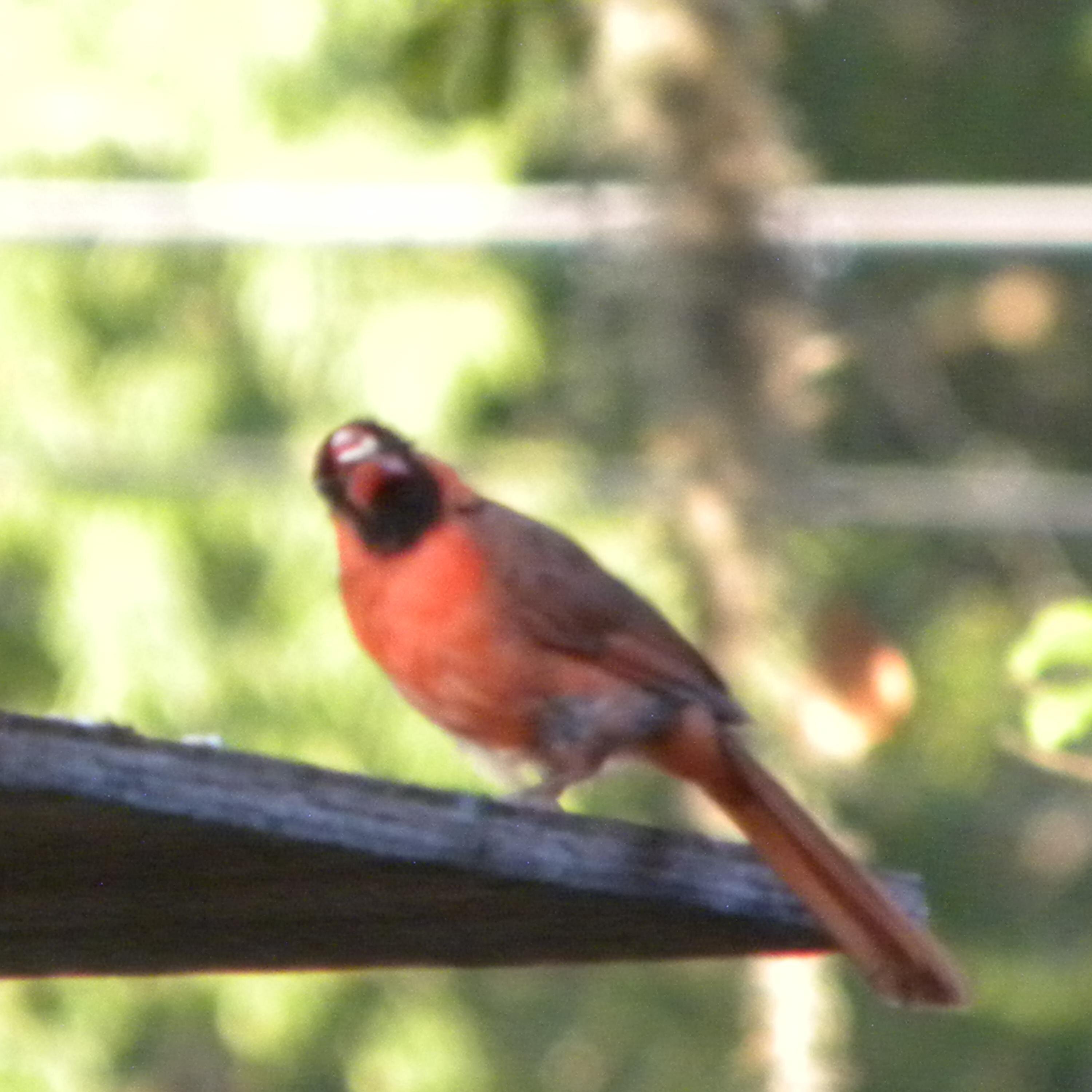 JAXINFOSERVE's profile picture. POLITICAL ACTIVIST#PEOPLE'S ADVOCATE#SURF PHOTOGRAPHER#JOURNALIST/EDITOR/WRITER#GARDENER#LOYAL SON#SINGLE/NEVER MARRIED#LOVER OF WOMEN#POLITICALLY INDEPENDENT#!