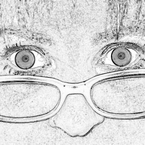 Children's book illustrator