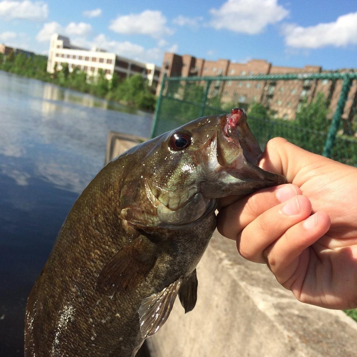 northfishing101 Profile Picture