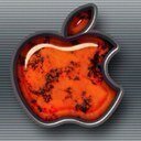 cardonaazul's profile picture. 