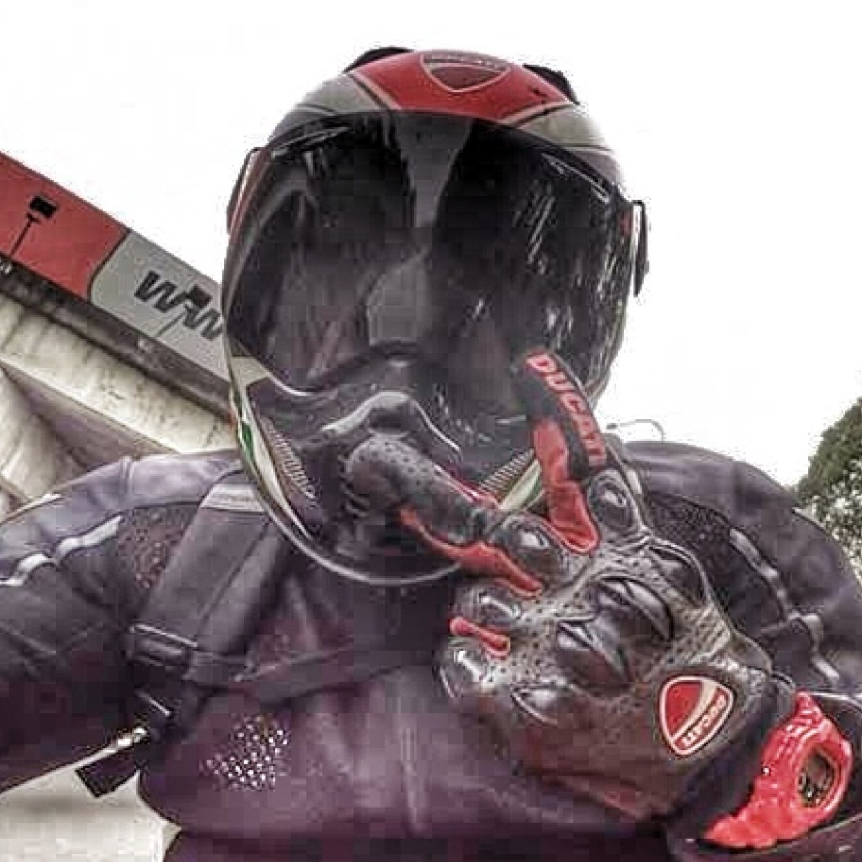 callmeapit's profile picture. My mom said don't trust any stranger, stranger is danger.