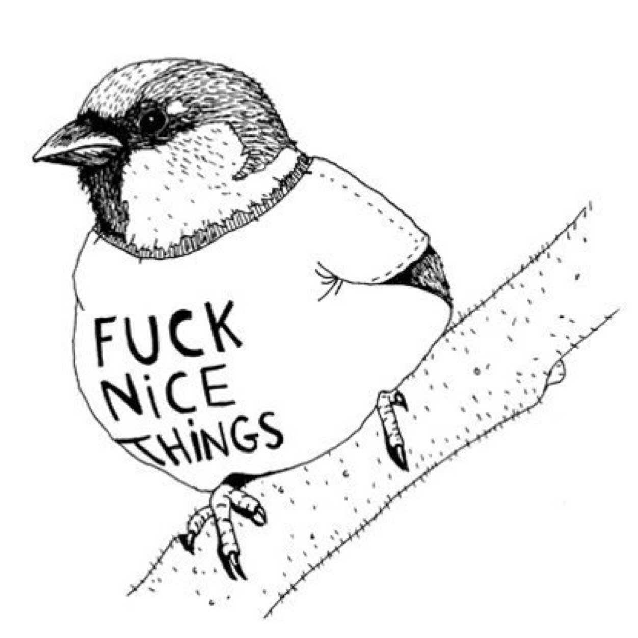 imreallyabird Profile Picture