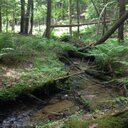 Coby Aaron - @coby_aaron - Twitter