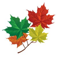 Canadian Forests (@canadianforests) 's Twitter Profile