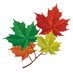 Canadian Forests (@canadianforests) Twitter profile photo