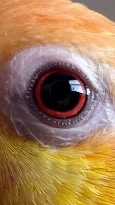 julieville59's profile picture. 