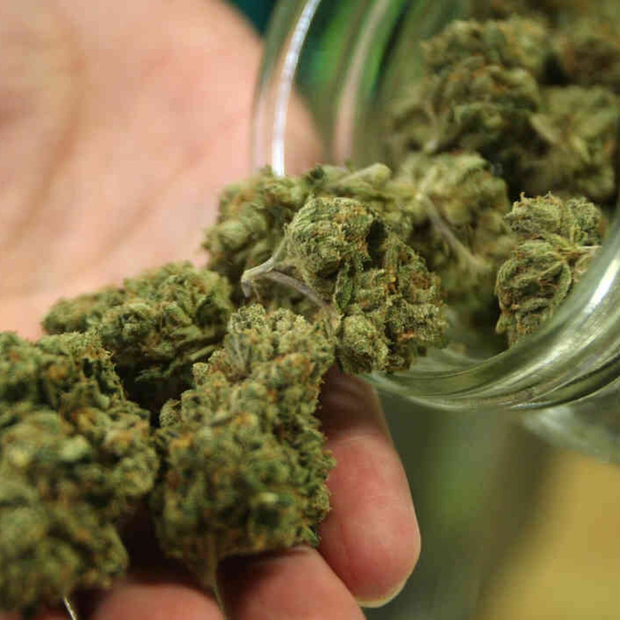 Best weed in all of Washington State! Tag this account on your best weed pics . Stay high my friends YAKIMA
