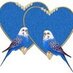 adelali00969 (@aliadeeelbbgg) Twitter profile photo