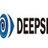 DeepSee Vision