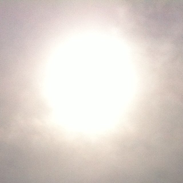 Pantspartybaby's profile picture. I wear washing up gloves on special occasions.