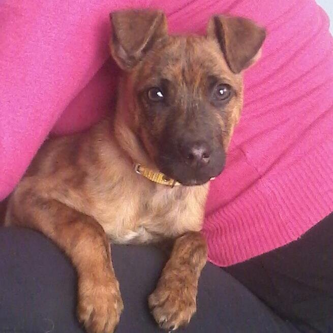 lavikylomas1's profile picture. Nacida en Montevideo 14/ 12/ 1976 .Estudio ELECTRICIDAD en utu  de Toledo.