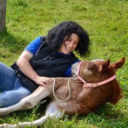 Author Social Media l Photographer l Traveller l Blogger l Italian Heavy Draft Horse l CAITPR l PASSIONECAITPR