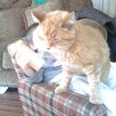 Tom Brew - @trbjr99 - Twitter