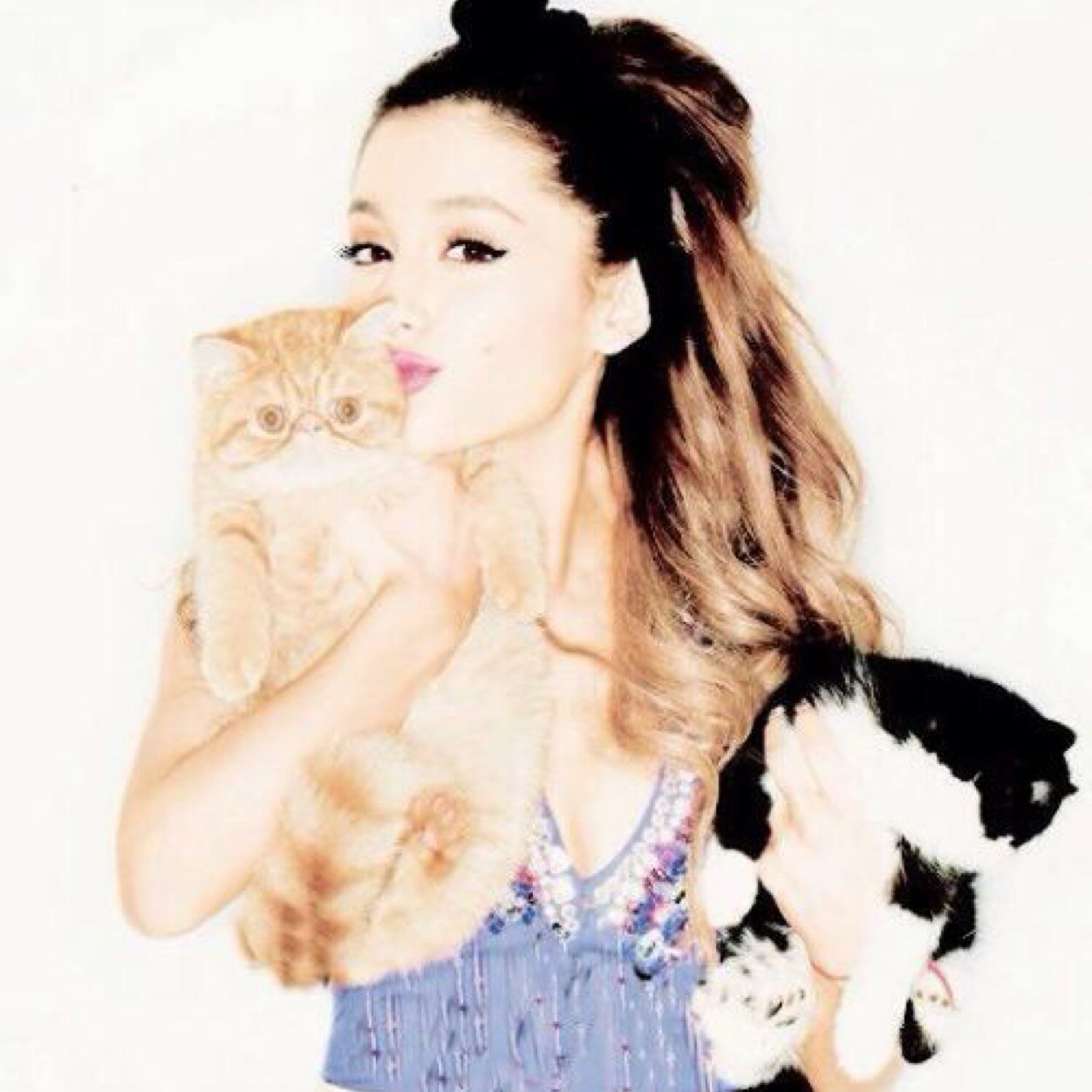 this is a free follow from @camilasbutera just to remind you that you're amazing & wonderful