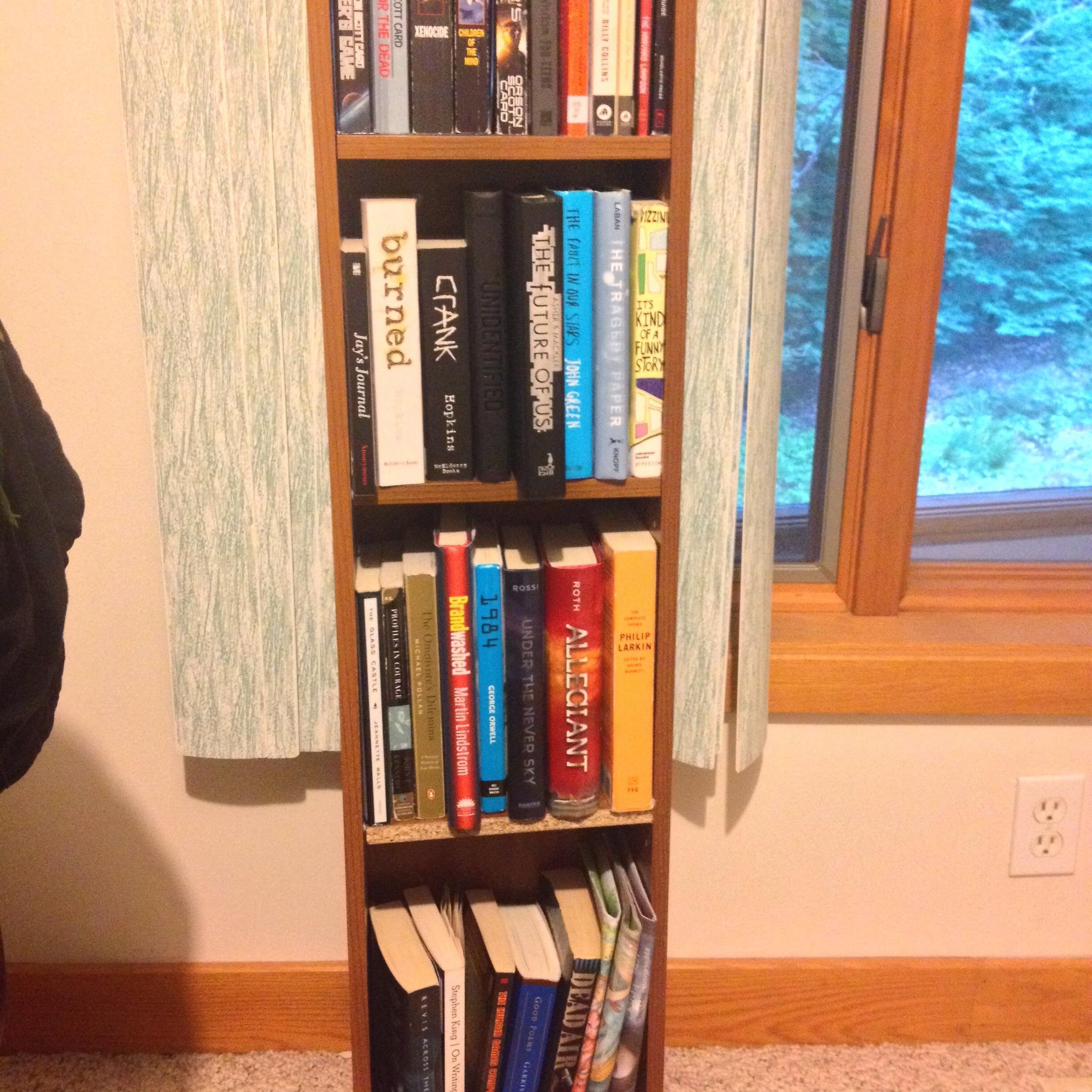 I'm a seventeen year old young adult guy who reads. Really, it's true.