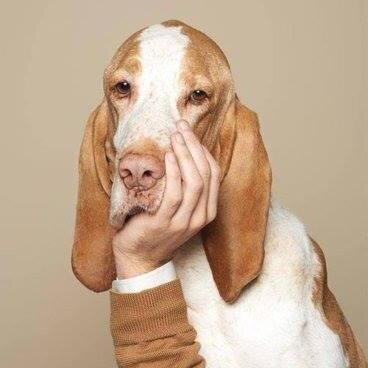 Lolala22's profile picture. 