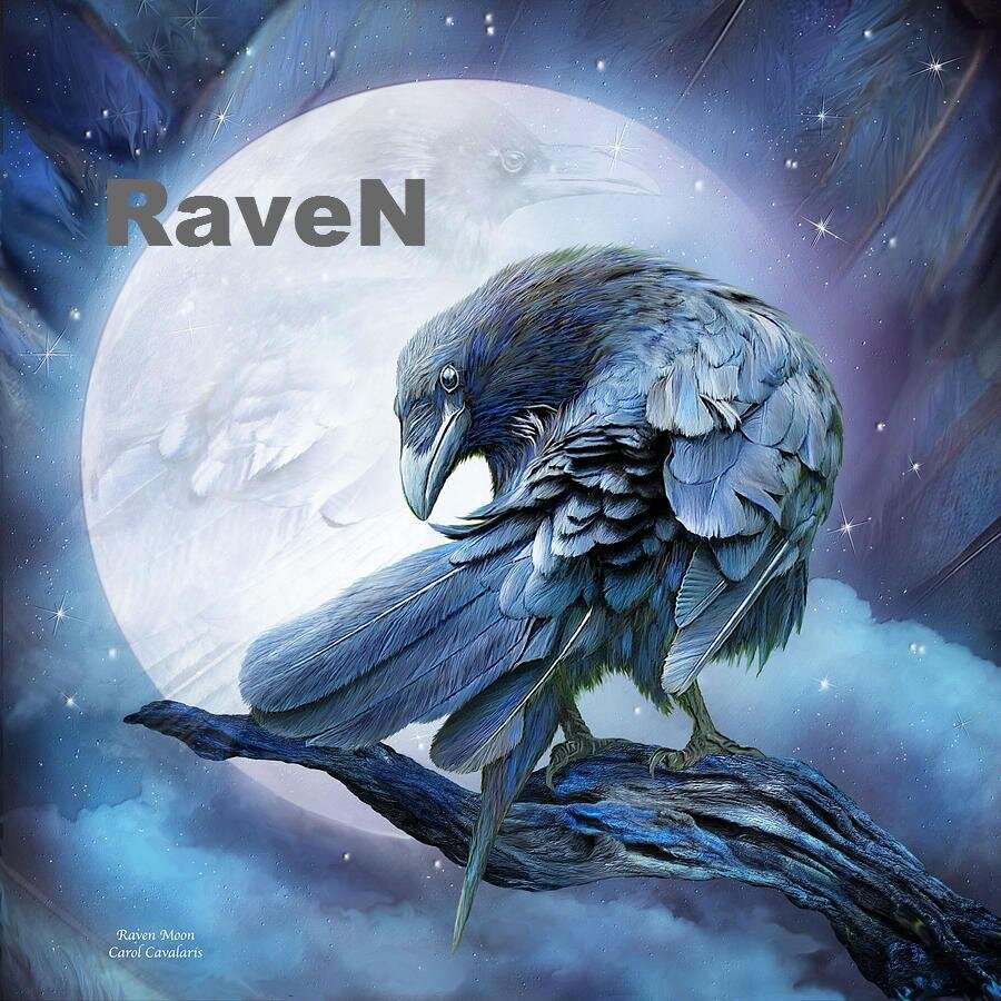 GT: RaveN SC - AR - OBJ - Support - 15