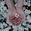 شيماء عبدالمحسن (@0555500123) Twitter