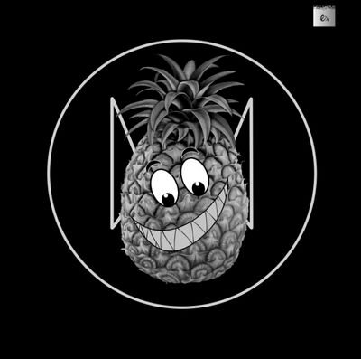 HugoAnanas's profile picture. 15 yo PineApple, EDM , Artist , Video Maker w/ ShekYm