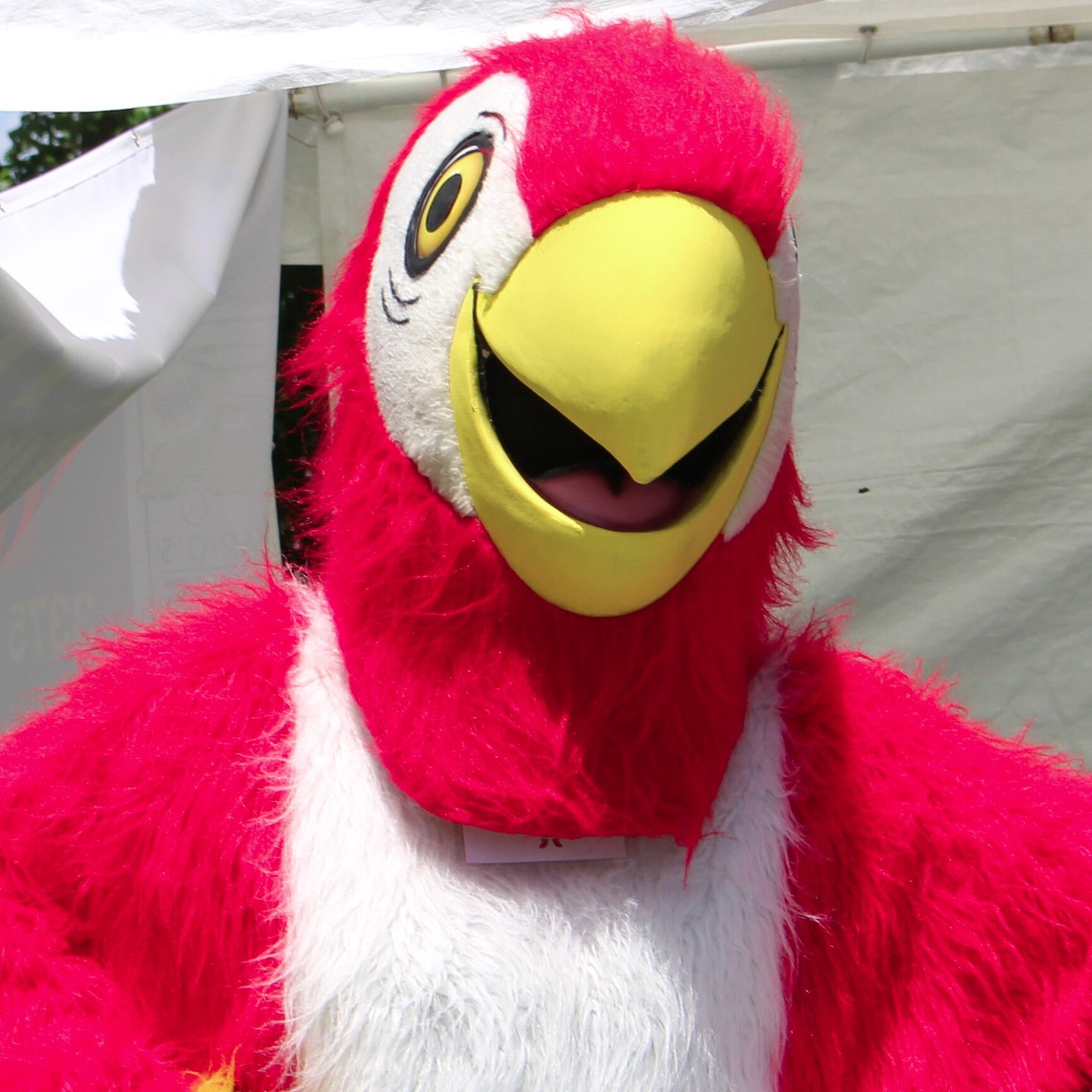 MCF is an incorporated organization, that continues to build momentum and credibility towards becoming a significant city wide festival in Mississauga.