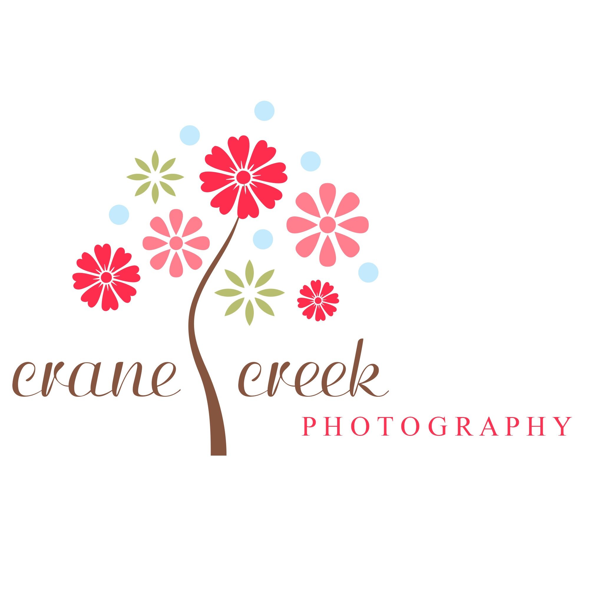 CraneCreekPhoto's profile picture. Momtographer | wife | 2 girls & a boy | follower of Jesus