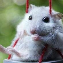 hwngpark3's profile picture. 전주한일본 대사 한국에 태어나지 않은것 정말 다행이다.대한민국과 운명을 같이하라. 살려면 죽고자 하란 말이 어느때보다 진실인 세상이다