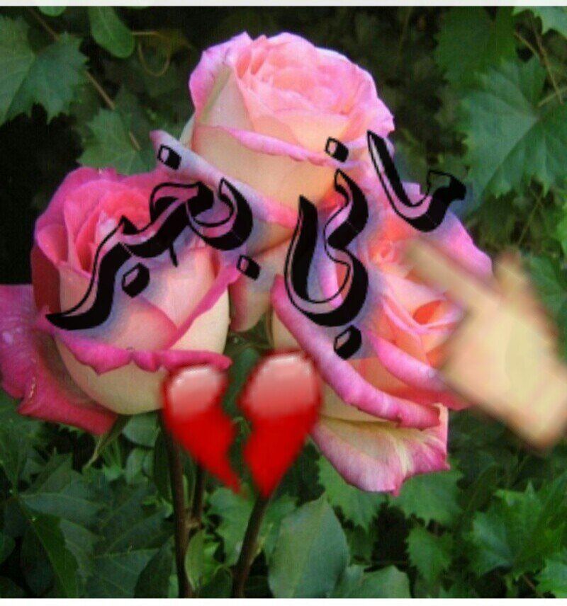 أحبك....
يا أحلى من كل البشر
يا توأم الروح
وأقـرب من نبضي ودمي وهواي
