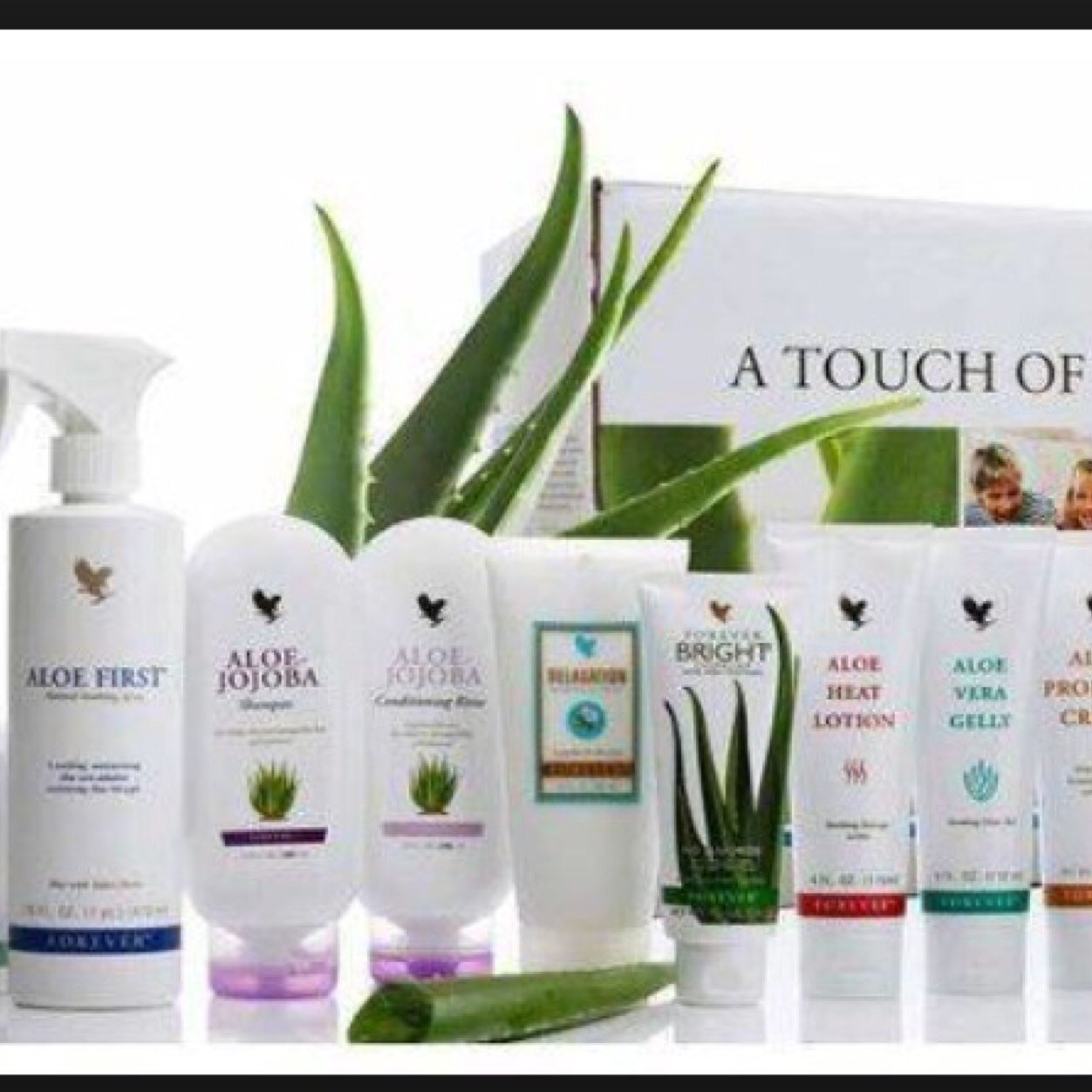 drewfaz34's profile picture. Products within the Health, Nutrition, Fitness and well being industry. https://t.co/NU1abFxpwh