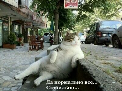 духовное развитие,кунфу(вин_чун),система Гурджиева 4-й путь.Это мои интересы.
