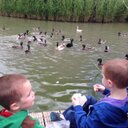 Philip Kay - @phil_kay - Twitter