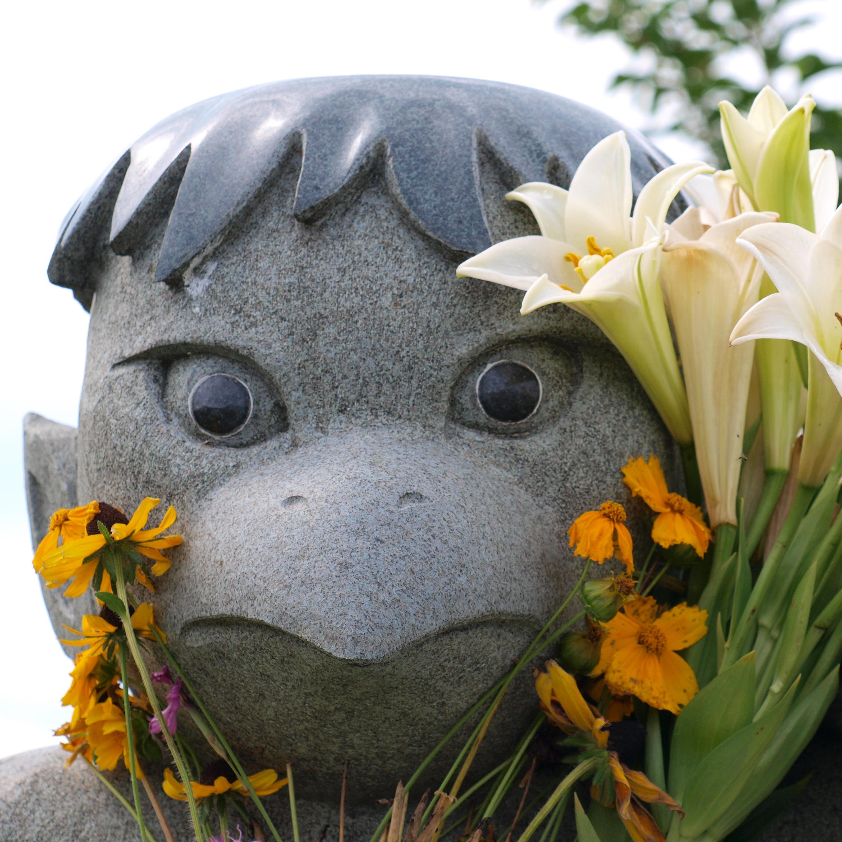 好きなものは花、落語、歌、ゴリラ、虫、魚、ウミウシ、お芋、歴史、じいさん、ばあさん、映画、最近鉄道も好きなことを思い出しました（ほぼ乗り鉄）