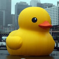 Oregon blotterwar (@blotterwar) 's Twitter Profile