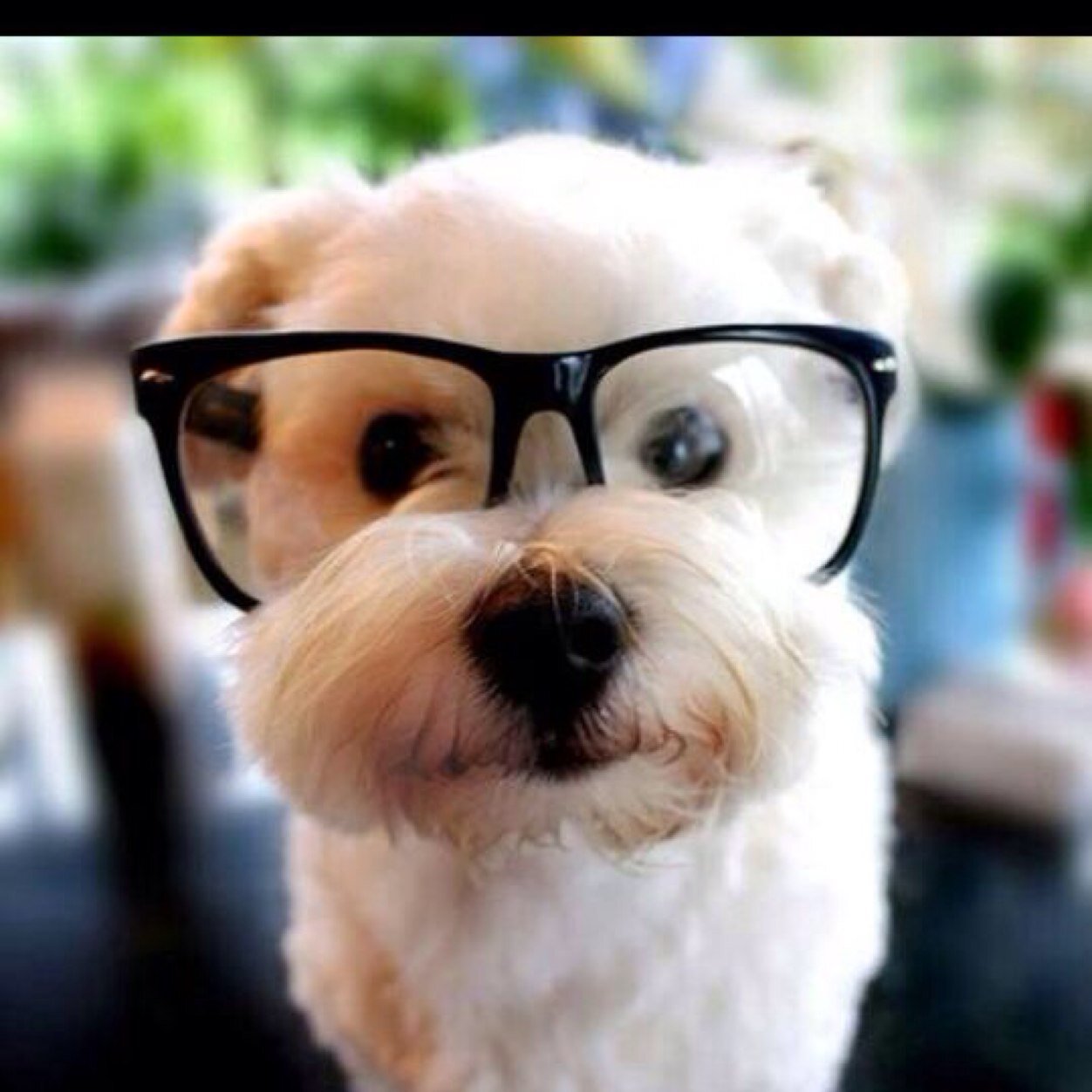 AndyLilley4's profile picture. 