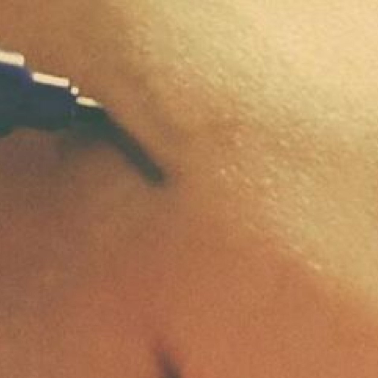 Nose