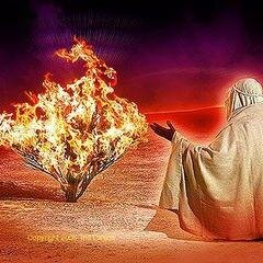 ...Tudo tem o seu tempo certo, paciência é uma virtude, o tempo de Deus é diferente do nosso, mas certamente é perfeito...