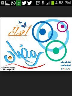همي رضا ربي