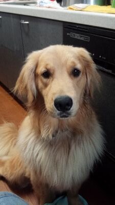 luke&meridaのブログ毎日更新中！