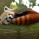 kasey brady - @kaseybrady99 - Twitter