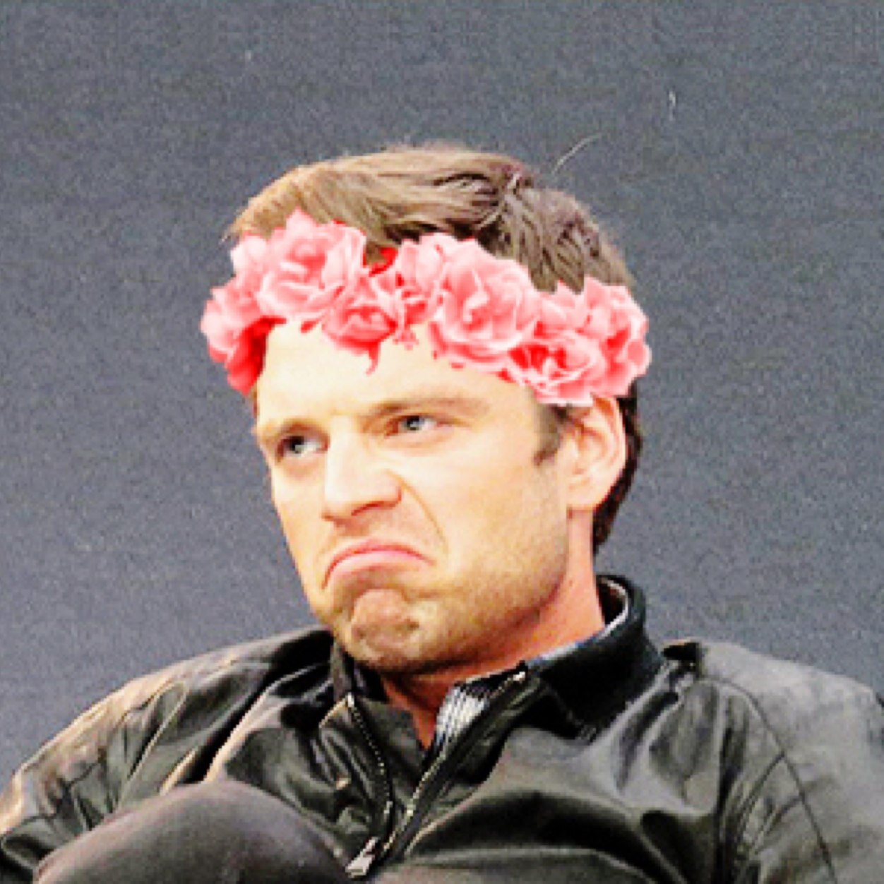 ?¿? bucky ¿?¿