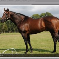 Glenthorne Park (@glenthornepark) 's Twitter Profile