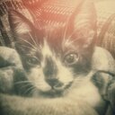 Patrick Braga - @patr_brag - Twitter