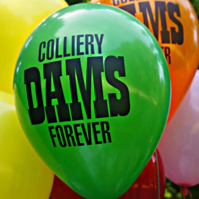 Nanaimo set to lose Historic Colliery Dam Park this summer.Work with us toward developing solutions to help save dams for future generations!Save Colliery Dams.