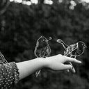 محذوف .. (@05248eebf9954c9) Twitter