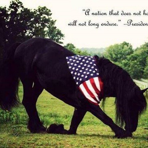 Freedom Fighters daughter. 🇺🇸 1st Gen American 🇺🇸 Digital Soldier 🇺🇸Patriot🇺🇸 LEO Mom 👮‍♀️ Back the Blue 💙 Trump2020 🇺🇸 NO DM