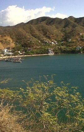 fannycollante's profile picture. 