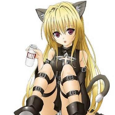 i'm Neko Abigail and i love milk.my other account @robot_girl9 and you may pet and rub my tail and ears please!!!!!! i beg you.im scared of wolfs and dogs